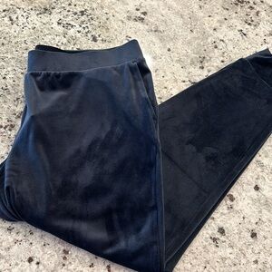 Pure Jill J.Jill Deep Blue Velour pants NWT Large